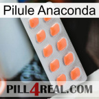 Anaconda Pill 26